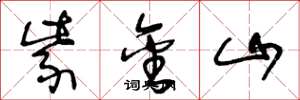 王冬龄紫金山草书怎么写