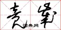 刘少英竟岁草书怎么写