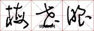 刘少英梅花眼草书怎么写