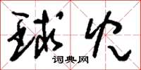 刘少英球儿草书怎么写