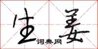 段相林生姜行书怎么写