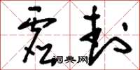 刘少英虚封草书怎么写