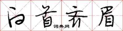段相林白首齐眉行书怎么写