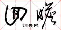 刘少英回瞻草书怎么写