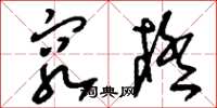 刘少英穷极草书怎么写