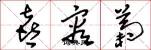 刘少英喜容菊草书怎么写
