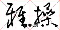 刘少英雅操草书怎么写