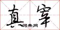 段相林真宰行书怎么写