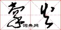 刘少英掌火草书怎么写