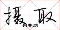 段相林摄取行书怎么写