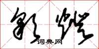朱锡荣彩灯草书怎么写