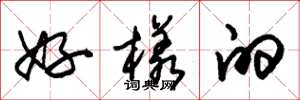 朱锡荣好样的草书怎么写