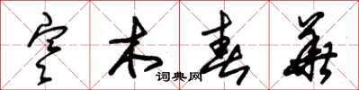 朱锡荣寒木春华草书怎么写
