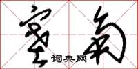 刘少英塞角草书怎么写