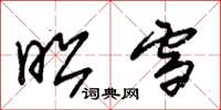 朱锡荣昭雪草书怎么写