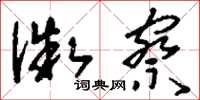 刘少英微察草书怎么写