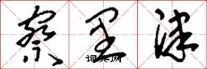 刘少英察里津草书怎么写