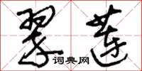 刘少英翠莲草书怎么写