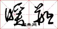 刘少英暖瓶草书怎么写