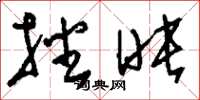 刘少英播映草书怎么写