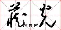 刘少英藏光草书怎么写
