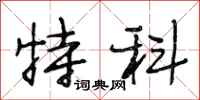 段相林特科行书怎么写