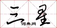 朱锡荣三星草书怎么写