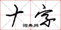 朱锡荣十字草书怎么写