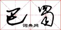 朱锡荣巴蜀草书怎么写