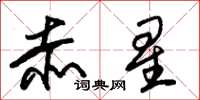 朱锡荣赤星草书怎么写