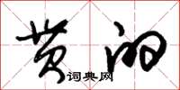 朱锡荣贯的草书怎么写