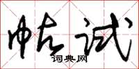 朱锡荣帖试草书怎么写