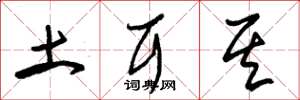 朱锡荣土耳其草书怎么写