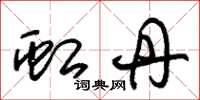 朱锡荣虹丹草书怎么写
