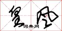 朱锡荣皇风草书怎么写