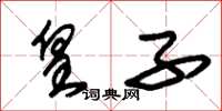 朱锡荣皇子草书怎么写