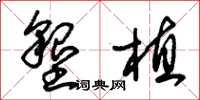朱锡荣垦植草书怎么写