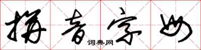 朱锡荣拼音字母草书怎么写