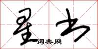 朱锡荣星书草书怎么写