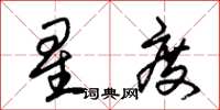 朱锡荣星度草书怎么写