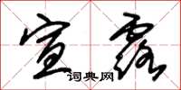 朱锡荣宣露草书怎么写