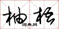 朱锡荣柚梧草书怎么写