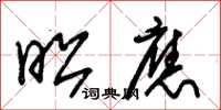 朱锡荣昭应草书怎么写