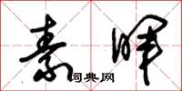 朱锡荣素晖草书怎么写