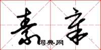 朱锡荣素章草书怎么写