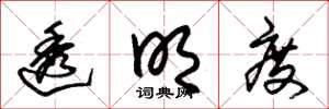 朱锡荣透明度草书怎么写