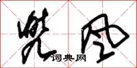 朱锡荣兜风草书怎么写