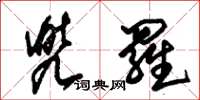 朱锡荣兜罗草书怎么写