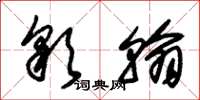 朱锡荣彩翰草书怎么写