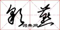 朱锡荣彩燕草书怎么写